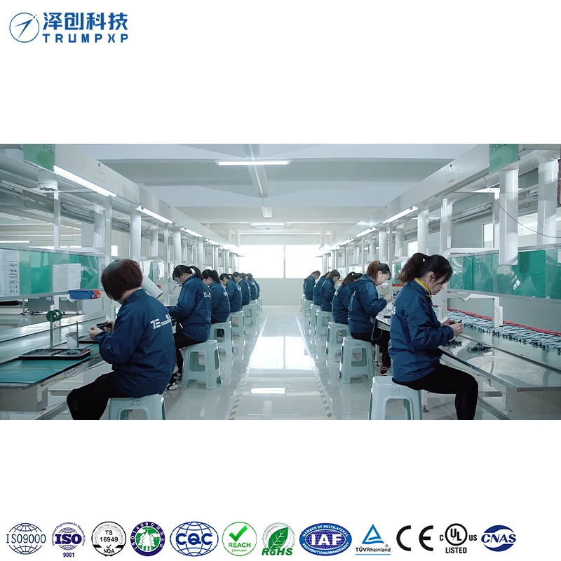 TCB-35 Mini Ozone Generator Tcb-35 Car Air Purification Ozone  Machine Parts