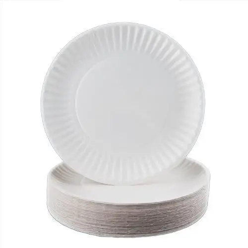 Paper Plates 9 inch Disposable Sugarcane Pulp Pizza Cake Dessert Plate for Birthday Wedding Party