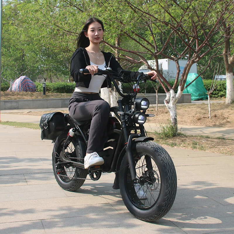 1500w electric sports bike soft-tail double suspension absorbing electrical bicycle electric big bike motorcycle