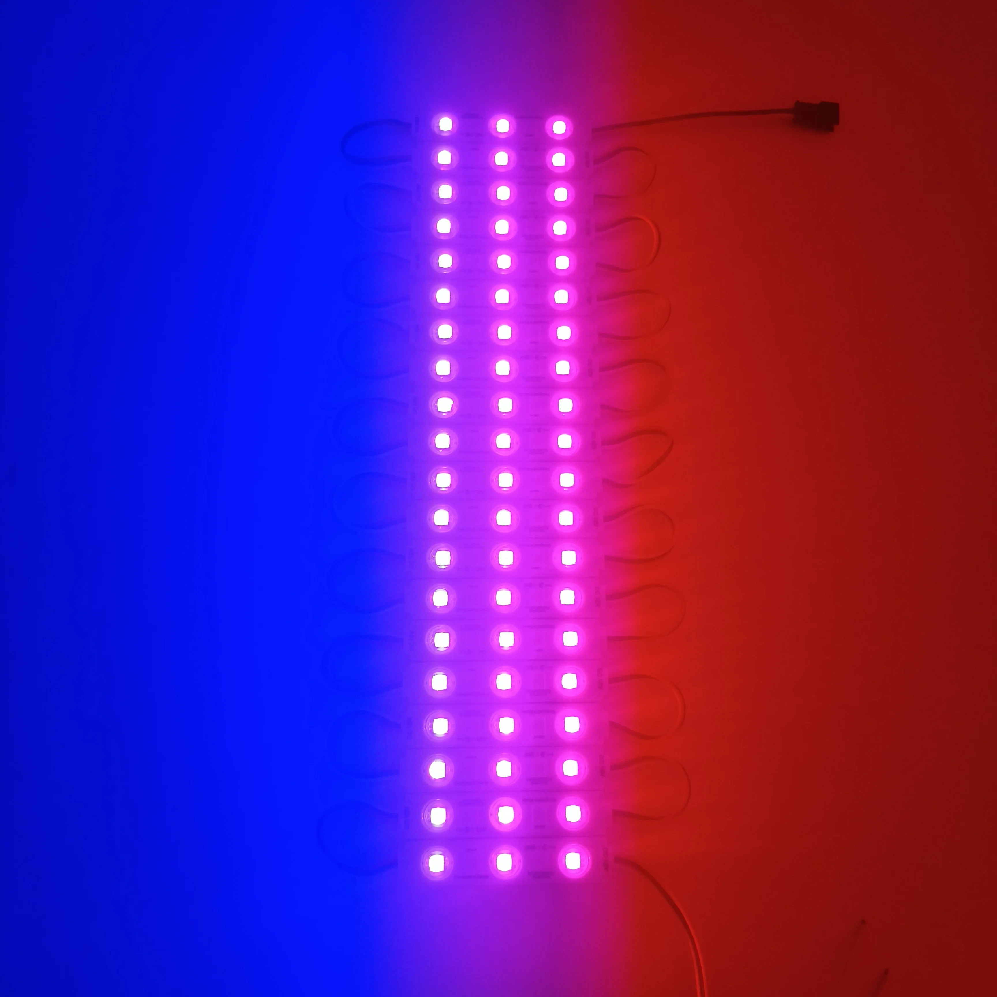 Czinelight Hot Selling Dc5v 12mm Ws2811 Ip68 Waterproof Addressable Rgb Seven colors of magic Led Module Led Light String Green