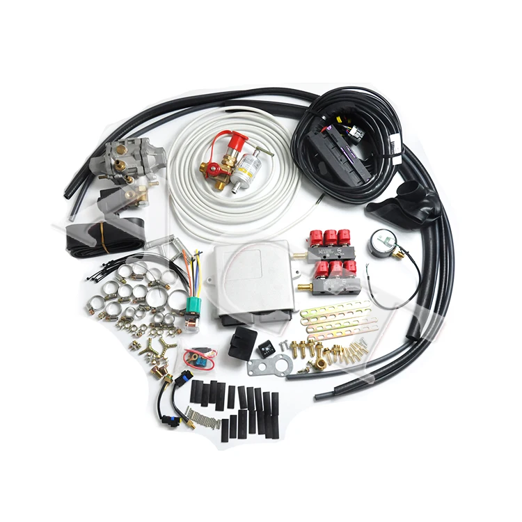 CNG/LPG Autogas completed kit for sequential injection system/Multi point system 4/6/8 cylinders dual fuels