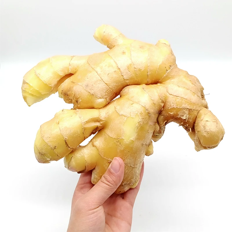wholesale market price of ginger root fresh red ginger exporter in egypt