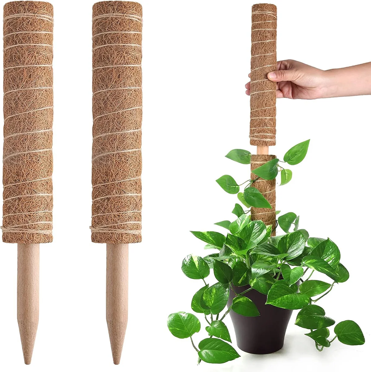 90cm organic pole moss algae plant filled totem rod coconut pole Garden planting climbing pole