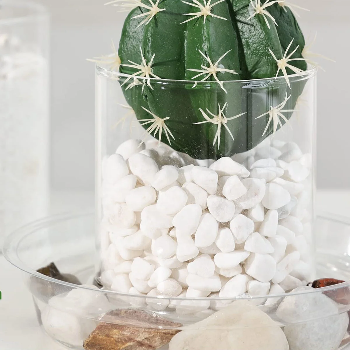 Plant Saucer Drip Tray 6 810 12 inch Clear Heavy Sturdy Plastic Planter Flower Pot Saucers for Indoor Outdoor Garden