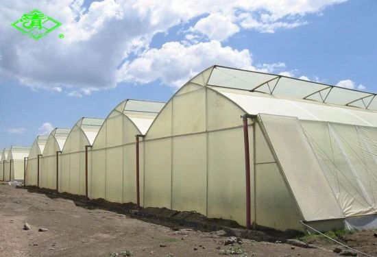 High Tensile Diffusion Reinforced Greenhouse Film For Agriculture