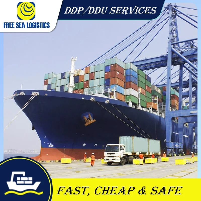 customs clearance services Agent From China to Saudi Arabia/UAE  DDP freight forwarder sea shipping