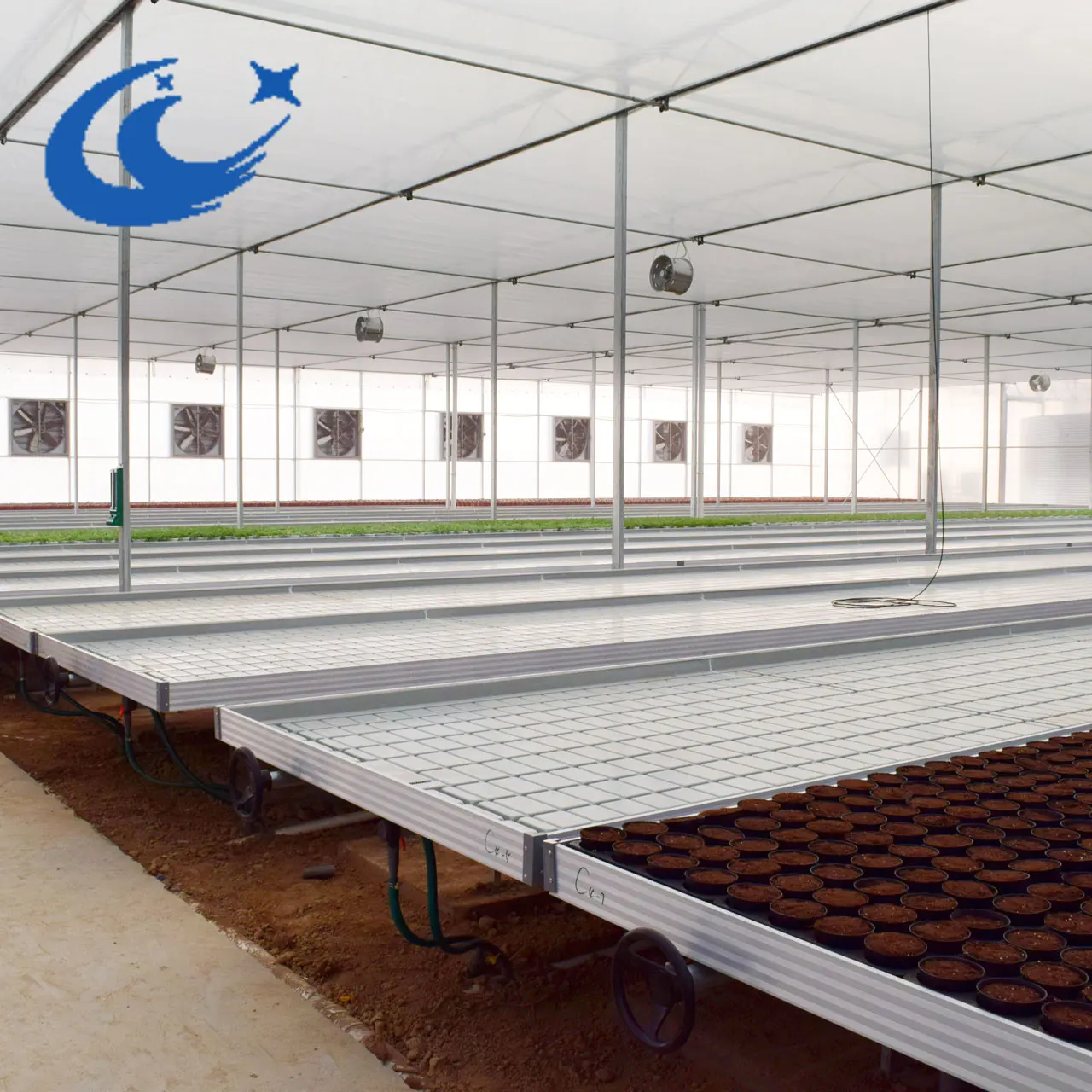 Hydroponic Fodder Table Grow Trays ABS ebb flow Rolling Bench
