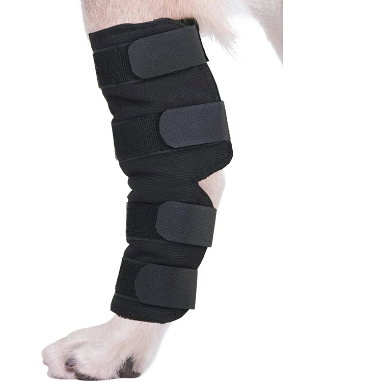 Hot Selling Recovery Breathable Protector Sleeve Dog Knee Legs Dog Hock Brace Avoid Licking Injured Leg
