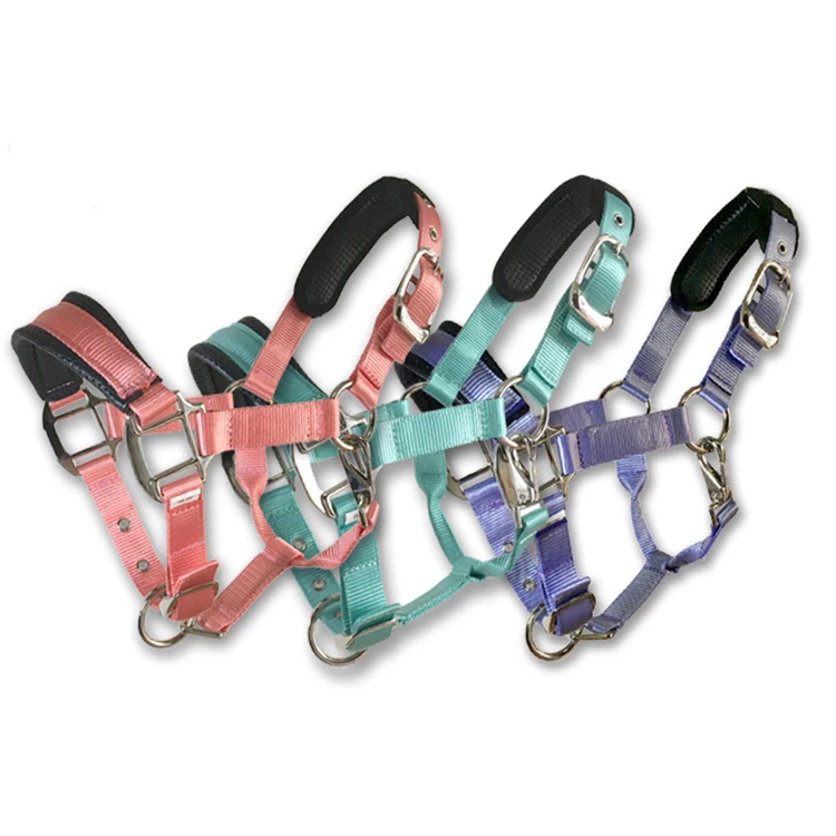  Horse Accessories Wholesale High Quality Halter Padding Manufacturer Custom Tedron