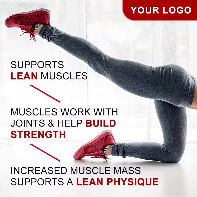 OEM/ODM whey protein powder sports supplements High Quality Sport Nutrition Gym Supplements Mass Gainer Whey Protein