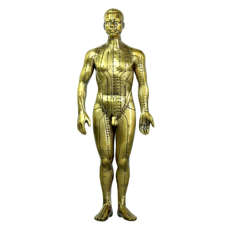 Медицинские учебные пособия из чистой меди, модель человеческого тела для иглоукалывания