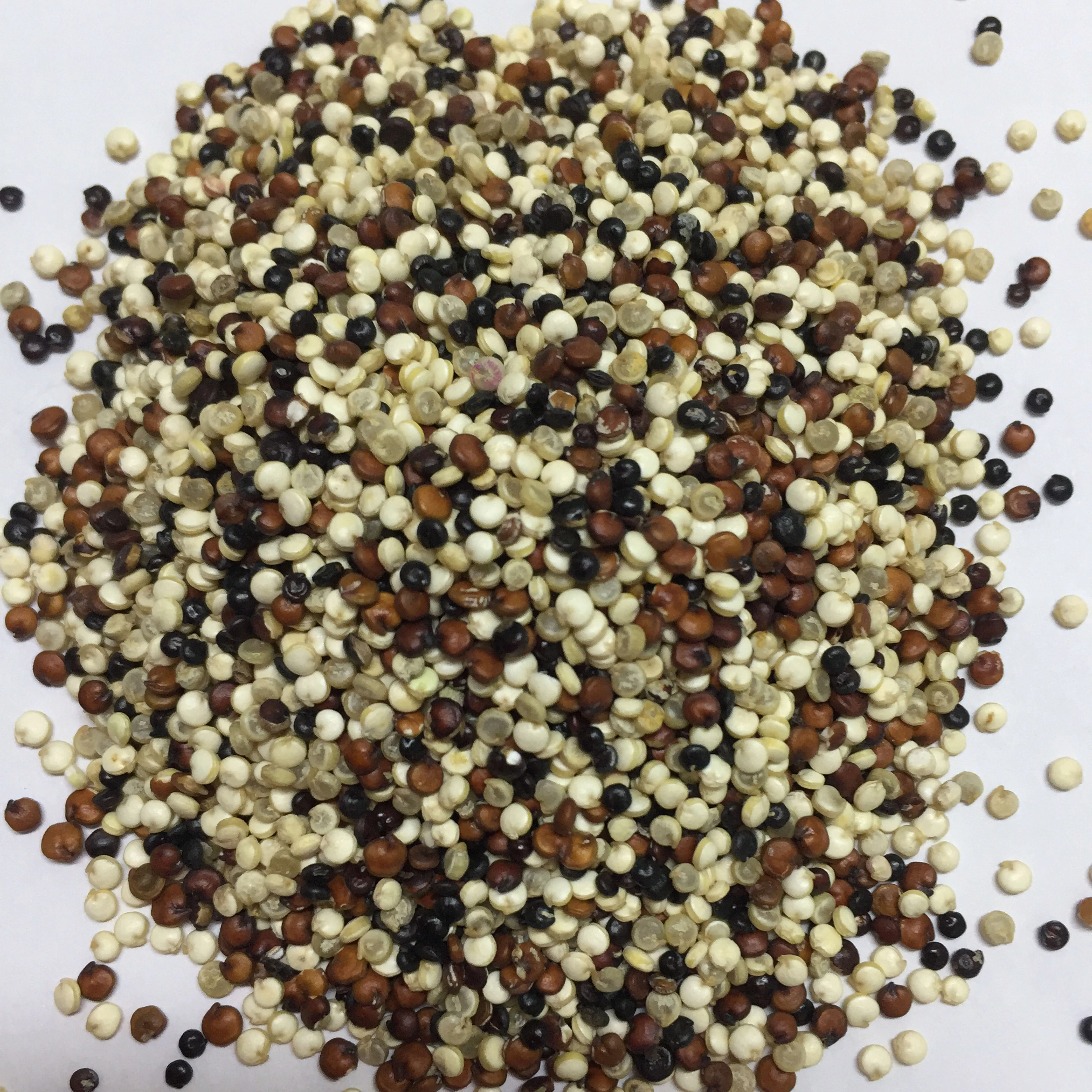 QUINOA BEST QUALITY ORGANIC WHITE Max Bag Crop Style Packaging Food Color Origin Latin Human Type Variety Size Dried
