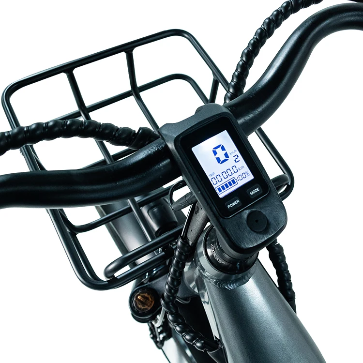 2023 New Model Factory Wholesale Cargo Ebike With Big Basket 3 Wheels Cargo Bike