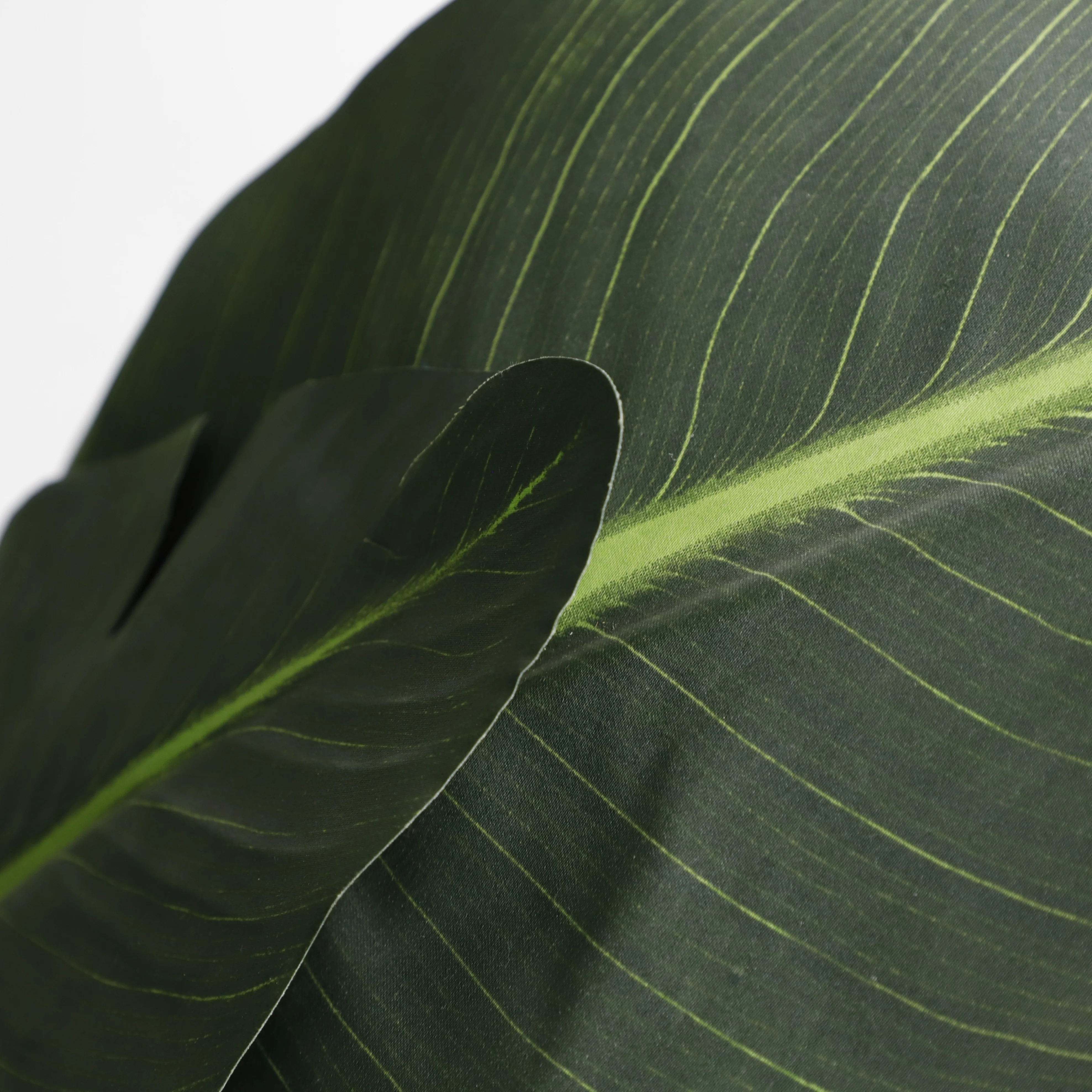 Artificial Traveller Banana Tree Heliconia Librata Griggs Fan Leaves Carton Modern Decorative Flowers & Wreaths 100 Pcs CN;GUA