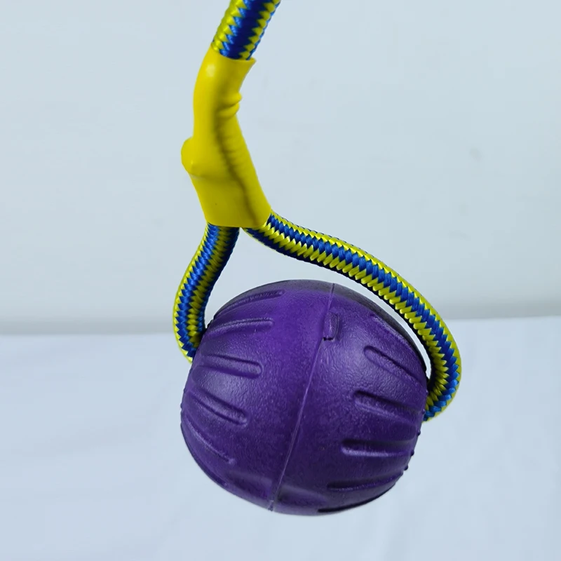 Wholesale EVA IQ Treat Interactive Pet Toy Pet Training Chew Ball With Rope