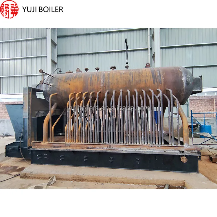 Paddy Biomass Steam Boiler Dzl 6-1.25 Machine For Rice Mill Philippines