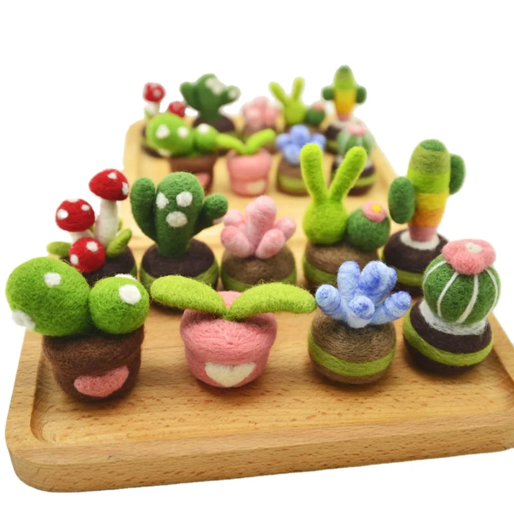 Custom Succulent Plants Needle Felting Beginner Kit DIY Felt Crafts Manufacturer Factory Private Label Logo OEM ODM Service