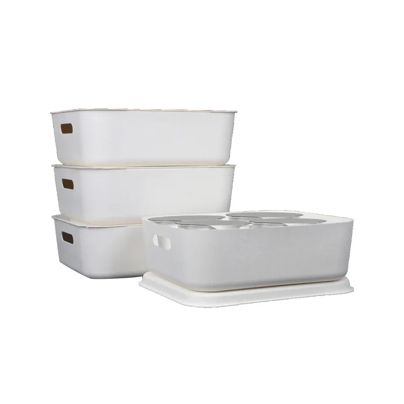 OEM Wholesale Custom Disposable Portable And Leak-proof Pulp Bagasse Inner Packaging For Food Box