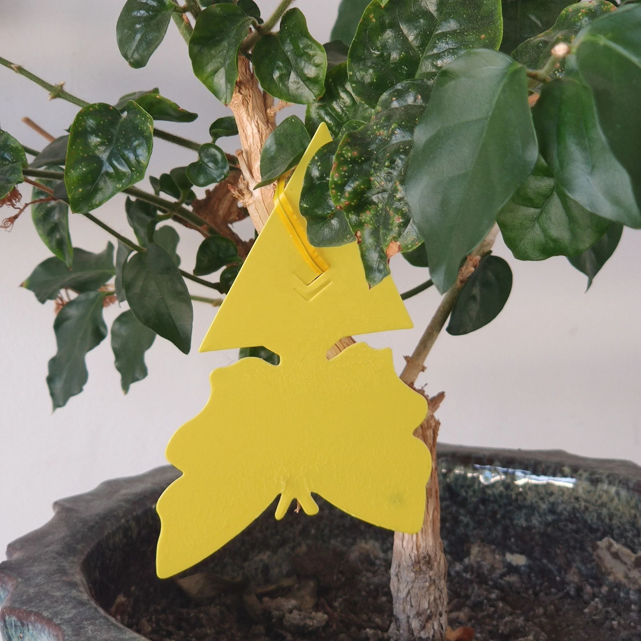 Garden Insect Catcher StickyButterfly Glue Trap