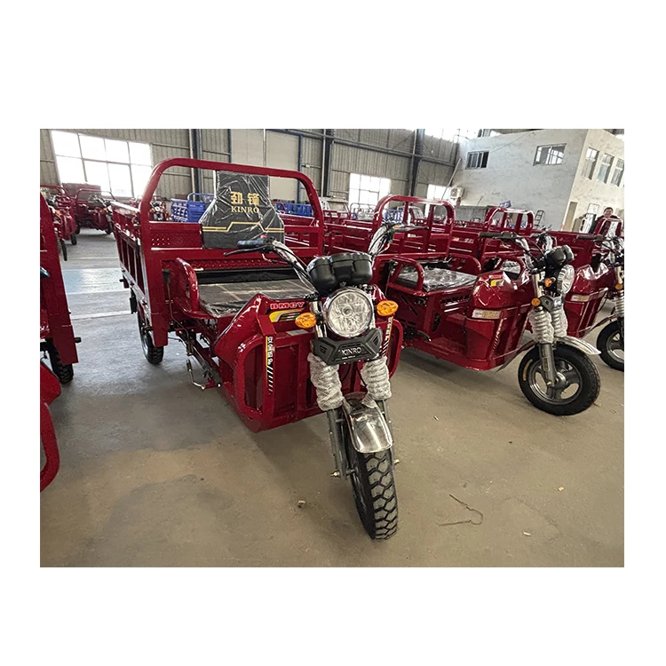 China Cheap Adult 150cc 175cc 3 Wheeled Gasoline Moto Cargo Load Tricycle Motorcycle for Delivery