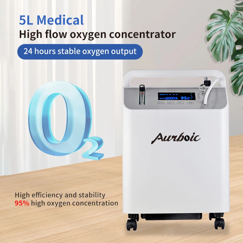 5L Medical Class II Oxygen Concentrator Machine 95% Purity 3 Year warranty Equipment for Physical Therapy