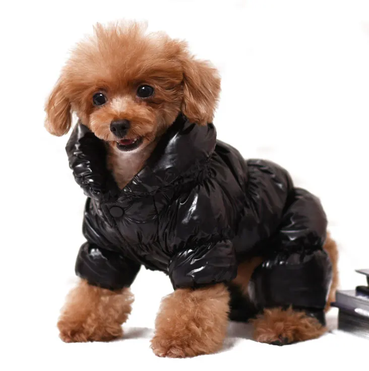 Amazon hot selling Manufactures Designer Custom Cartoon Letter Printing Hoodies Dog Coats Jackets Cloth Winter Pet