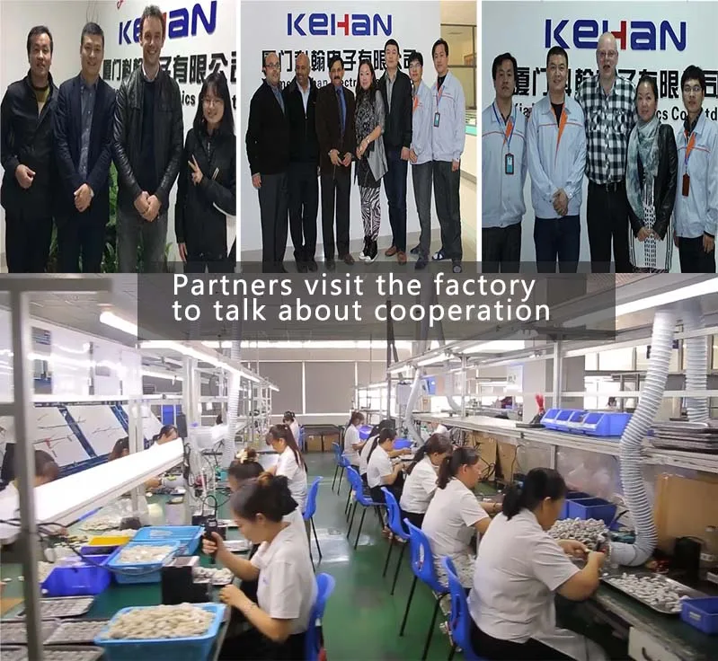 UL Certified Mini Fuse Holder Molex Nano-Fit Connector and Banana Plug for Electronic Wire Harness