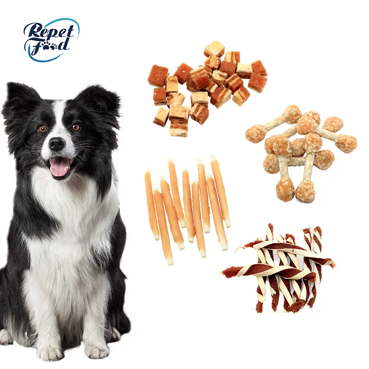 Best selling quality chicken/duck/beef/fish ham sausage pet food training treat dog snack