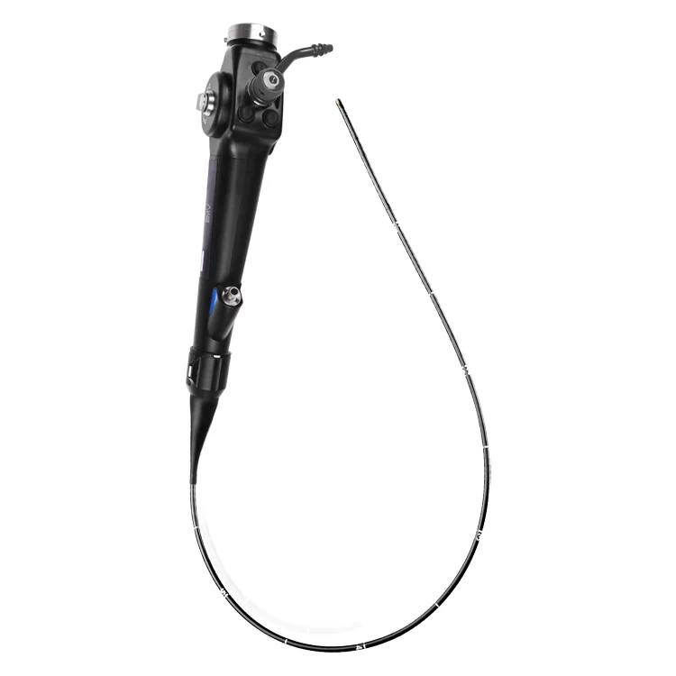 Factory Price Endoscopes Video Endoscope Camera Veterinary Gastroscopy Colonoscopy  Clinic Hospital Pet Endoscopy