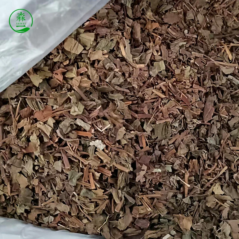 Houttuynia cordata Chinese herbal tea organic Houttuynia cordata extract powder