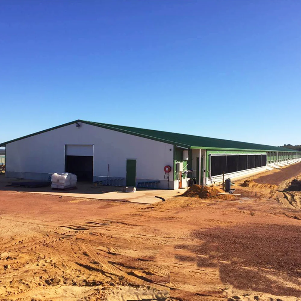 Недорогая сборная стальная конструкция птицеферма, дизайн курятника