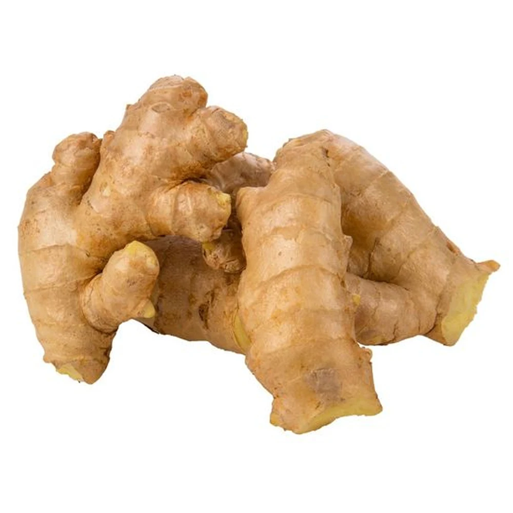 Wholesales Price Mature Fresh Ginger Stable Quantity From AGN Manufacturer +84962246940(Whatsapp)