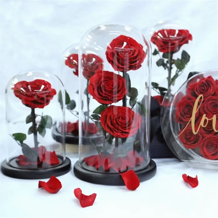 Wholesale 2021 hot selling eternal rose gift real preserved roses in glass dome with gift box