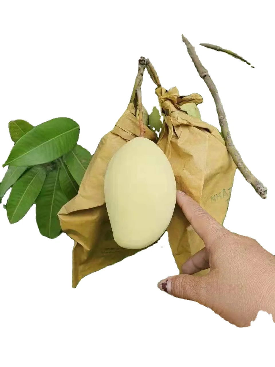 waterproof  Mango Grape Guava Growing Paper Bag For Fruit Protection