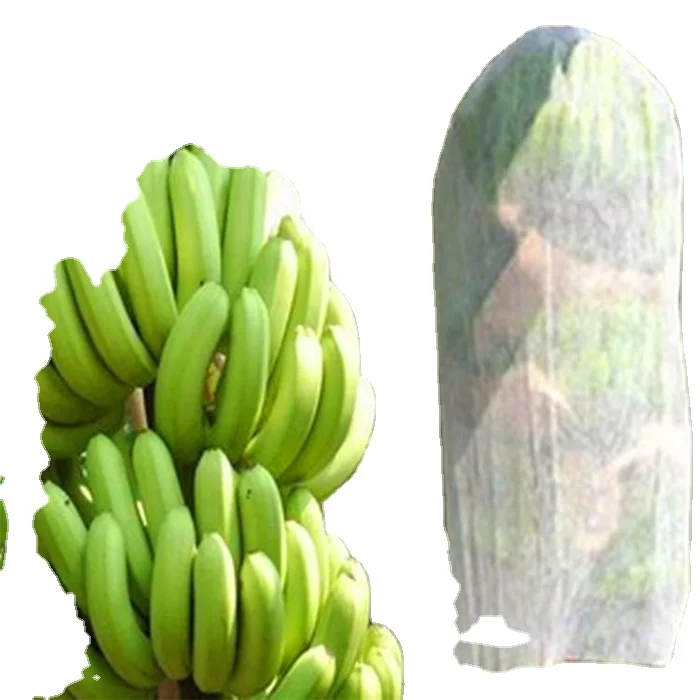 Tropical Fruits 2.6ft x 3ft 2.6ft x 5ft Insect proof breathable permeable fruit circular protective bag for banana
