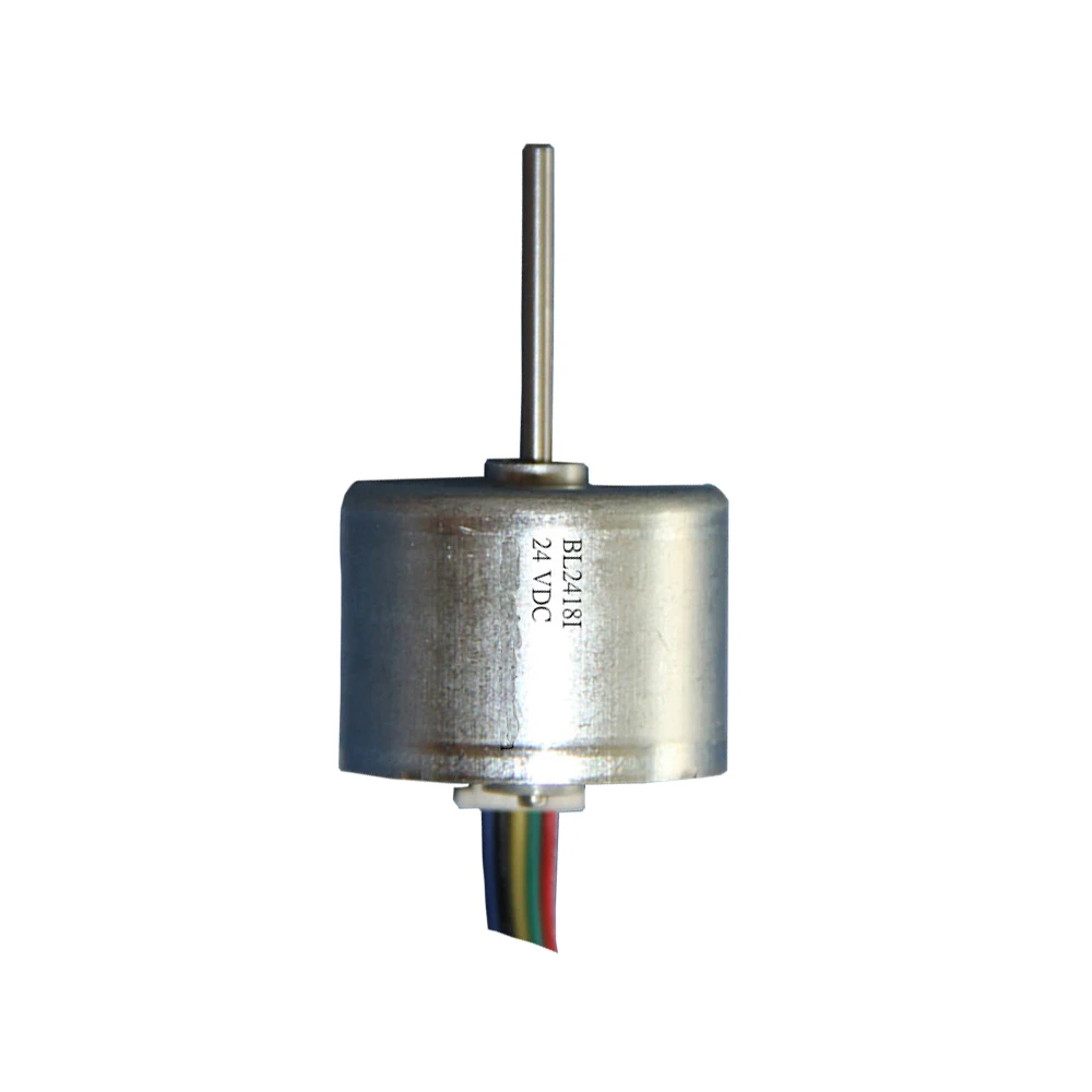hot sale Diameter 24MM length 18mm high torque  low speed dc micto brushless electric motor for pump