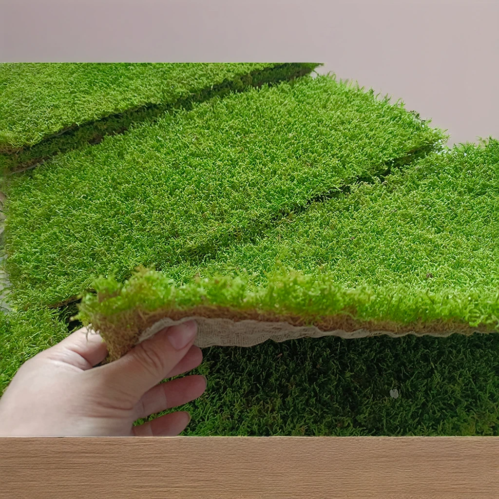 Factory Wholesale Interior Decoration Office Green Wall Panels Reindeer Preserved Moss
