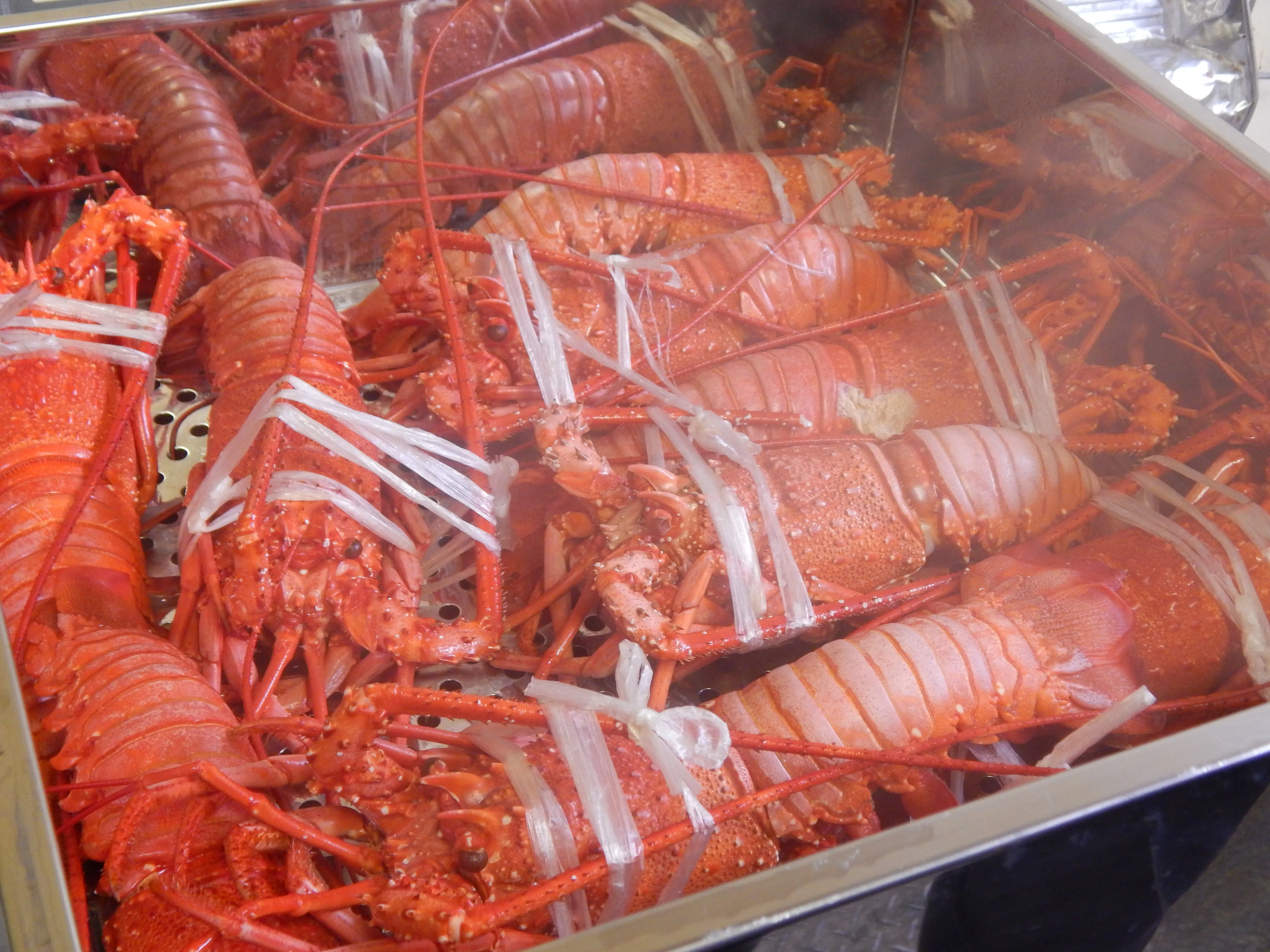 Морепродукты для приготовления на пару в префектуре Mie hama замораживание Красного