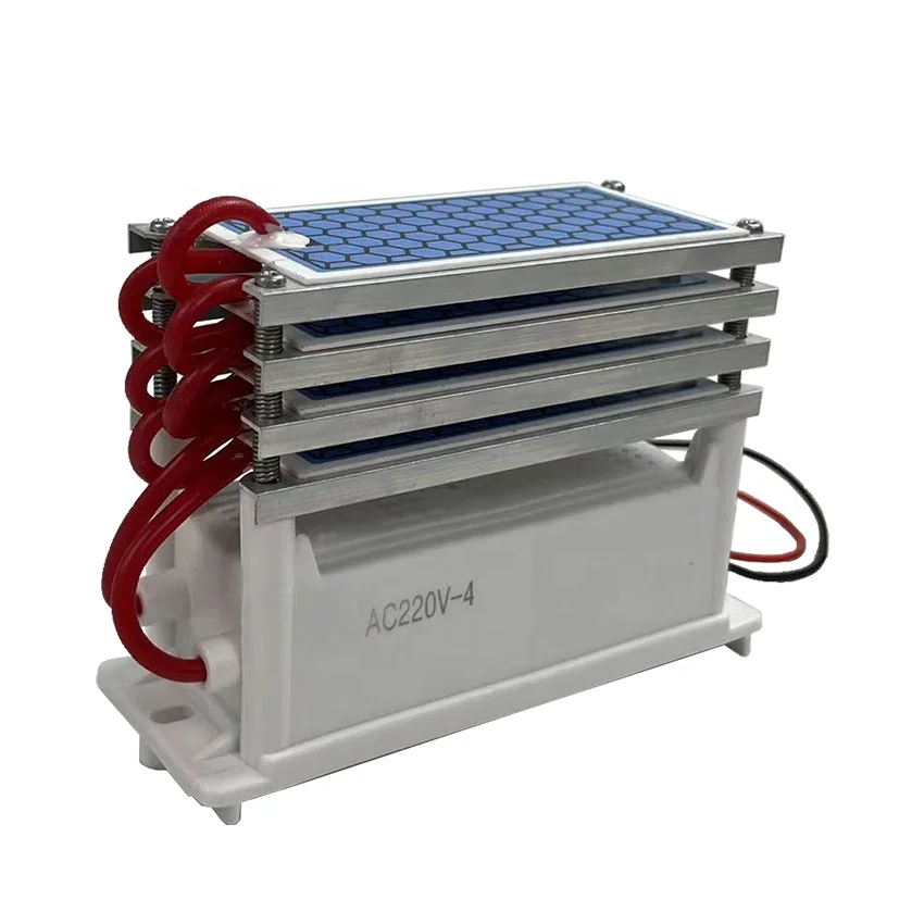 Ozone Generator - Ceramic Chip Ozone Generator - 5g/H,10g/H Output - Tank Heat Dissipation Upgrade