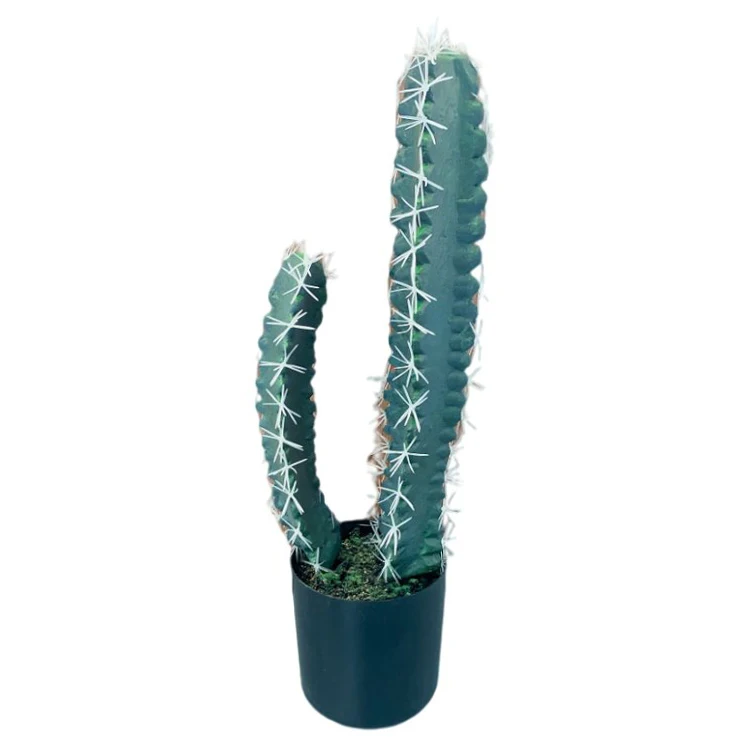 Latest Design Home Decorative Craft Fakes Succulent Of Artificial Cactus Plant Real Touch Desktop Decoration Potted Plant