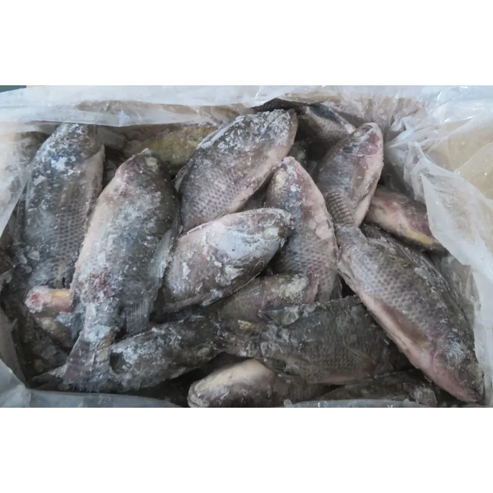 High quality Scaled and gutted tilapia scalata e guttata scaled and guted tilapia whole frozen gs tilapia fish