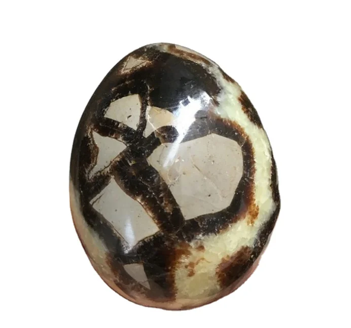 Wholesale natural beetle stone tortoiseshell stones eggs septarium egg for decoration