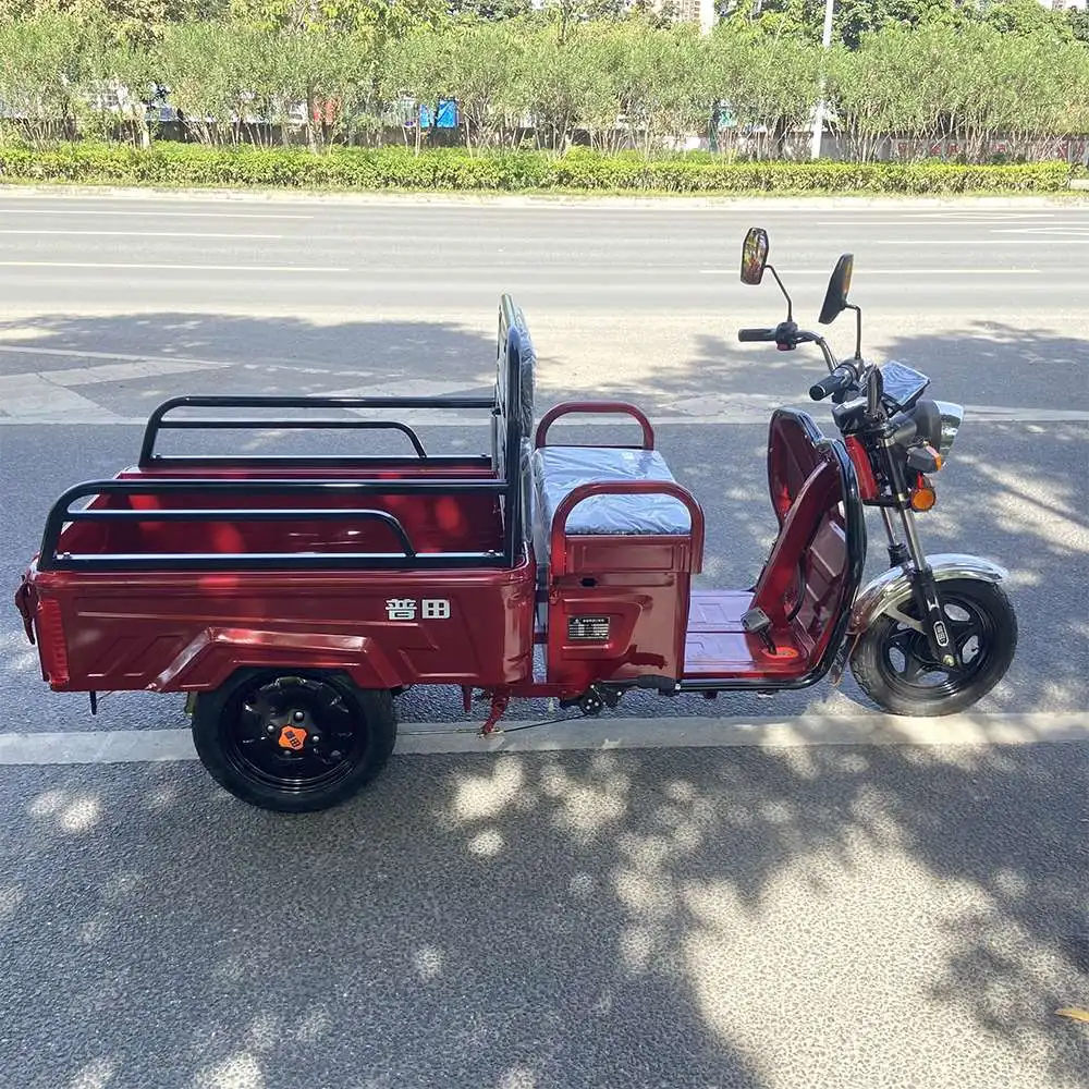 High 400Kg 3 Wheel Electric Car For Passenger