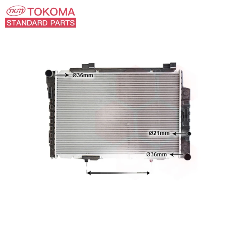 Auto Parts Cooling System Electric Radiator Cast Iron Radiator for BENZ C-CLASS W202 C220 CDI 2025005603 2025006403