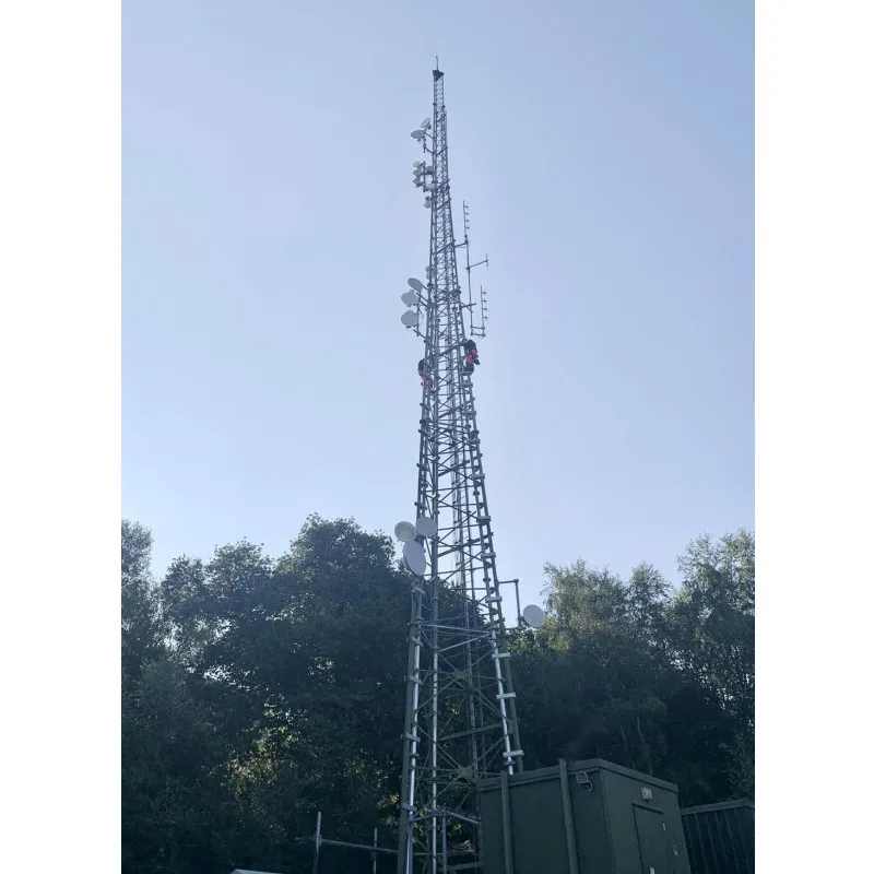 Microwave Antenna Telecommunication Cellular Tower For Radio TV Broadcasting Equipment