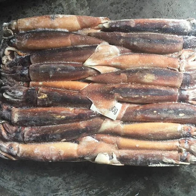 Low price fresh sea frozen ocean squid illex whole round squid frozen raw squid