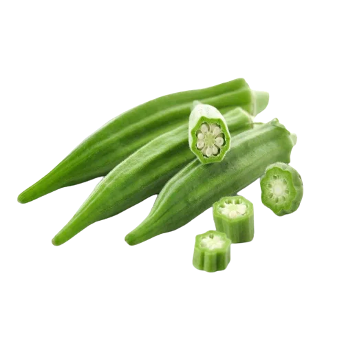 FRESH OKRA WITH EXCELLENT PRICE AND HIGH QUALITY FOR EXPORTING FROM VIETNAM