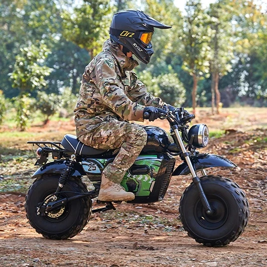 Новый дешевый высококачественный 1500 Вт 60 В новый детский Электрический мини-мотоцикл гоночный Спорт мотоцикл питбайк CE