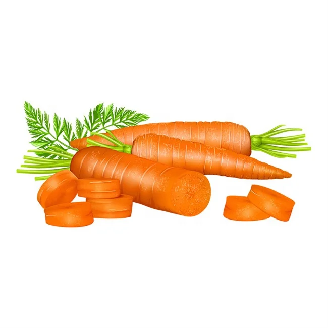 China Export Fresh Carrot 80-150g Cartons Low Price Shandong Xiamen Origin Chinese Fresh Vegetable Carrots