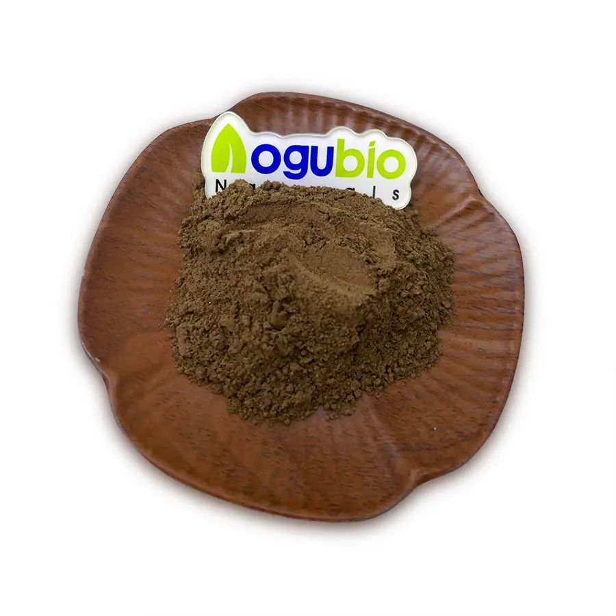 Private Label OEM Cordyceps Turkey Tail Chaga Lions Mane Reishi Instant Mushrooms Coffee Powder